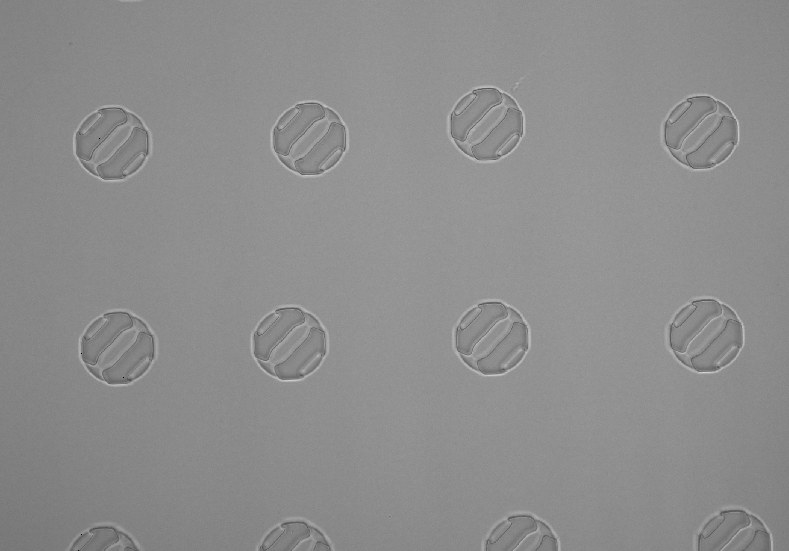 Optical inspection of patterned circular devices