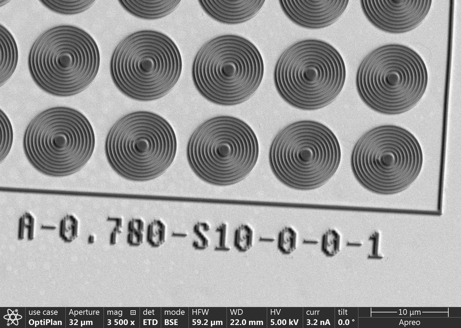 SEM image of bullseye cavity array