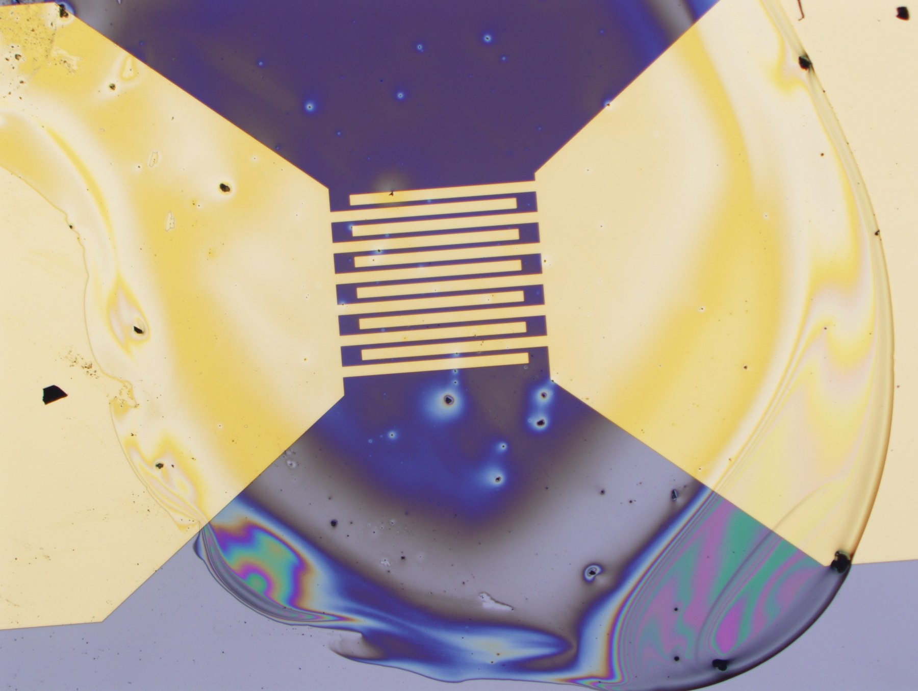Optical image of a contacted nanophotonic chip