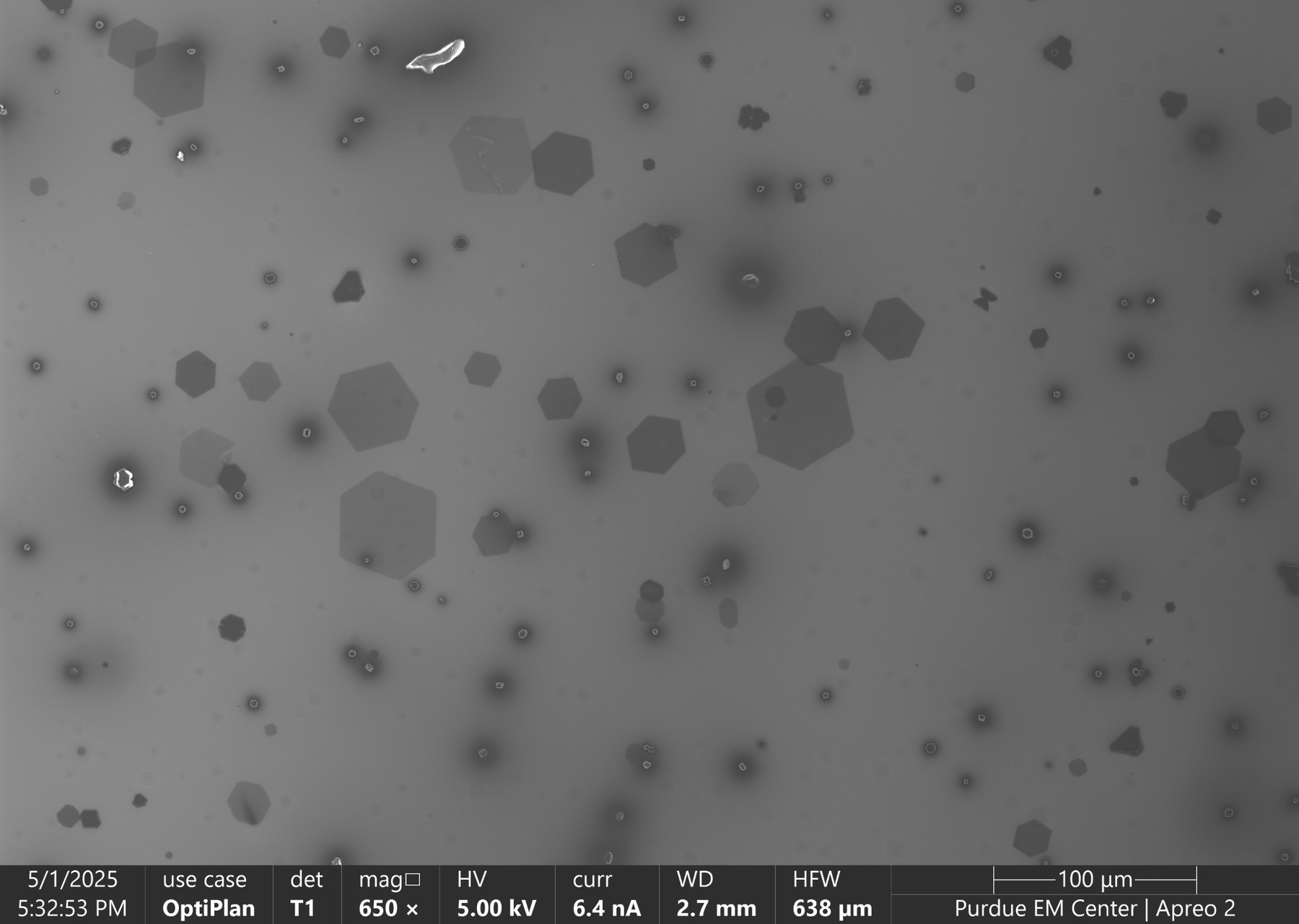 SEM survey of vapor-grown anthracene crystals