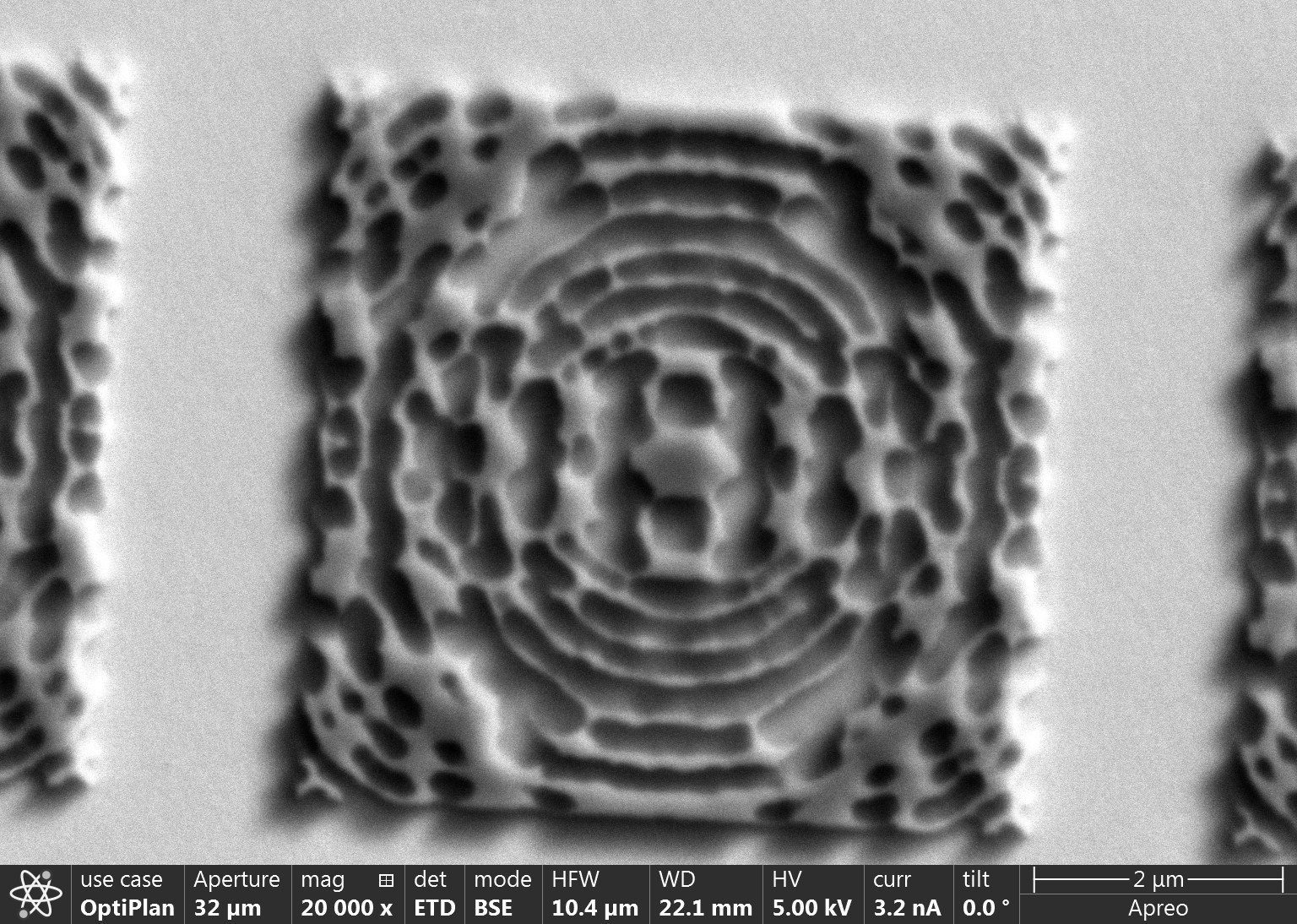 High-magnification SEM of a patterned bullseye device