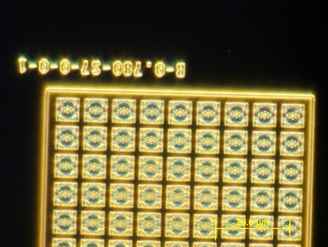 Optical micrograph of a bullseye device array