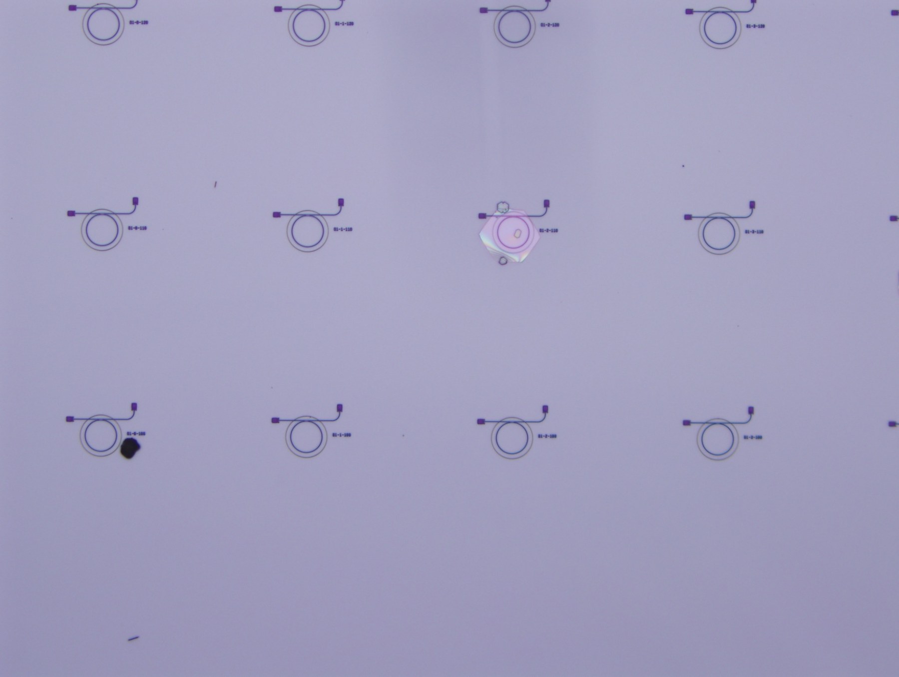 Crystal positioned on a photonic circuit